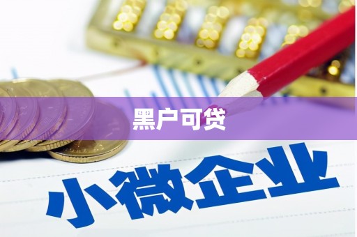蒲城黑户可贷