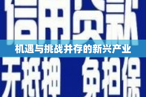 蒲城机遇与挑战并存的新兴产业