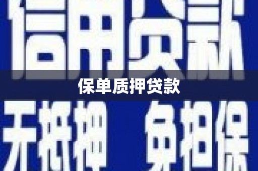 蒲城保单质押贷款