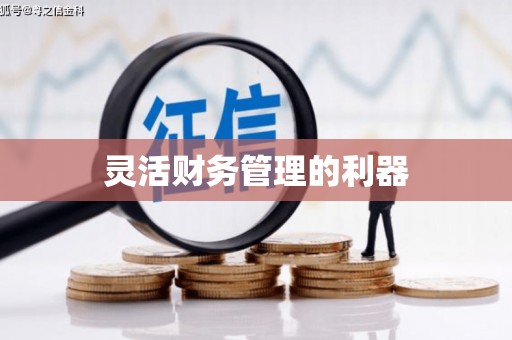 蒲城灵活财务管理的利器