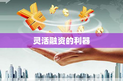 蒲城灵活融资的利器