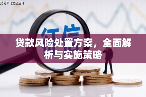 蒲城贷款风险处置方案，全面解析与实施策略