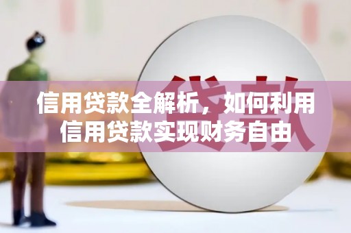 蒲城信用贷款全解析，如何利用信用贷款实现财务自由