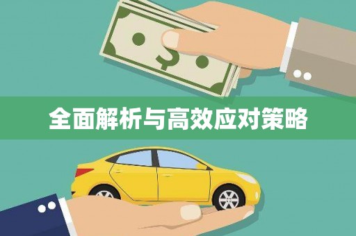 蒲城全面解析与高效应对策略