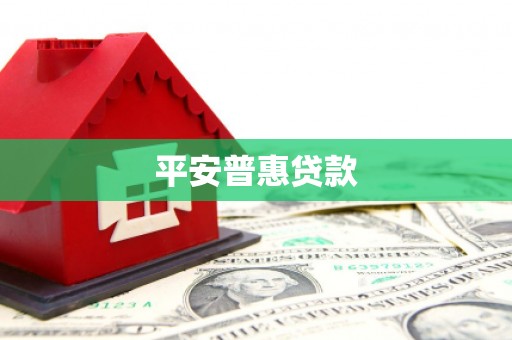 蒲城平安普惠贷款